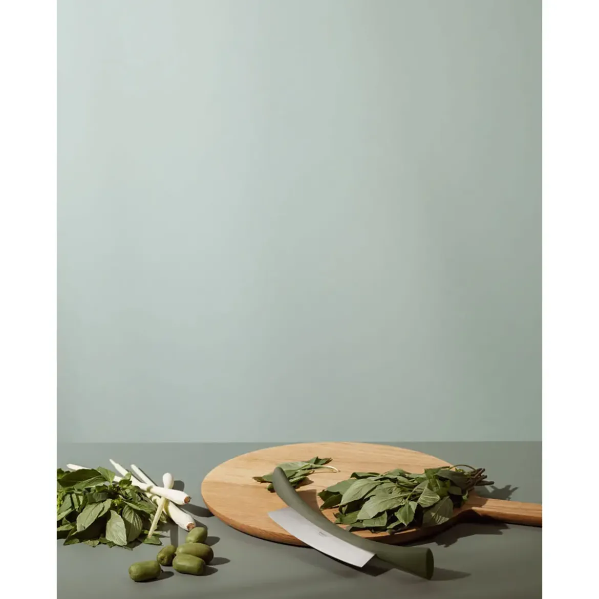 Eva Solo Wiegemesser Green tool