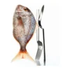 Robbe & Berking Fischmesser Sphinx 150g versilbert
